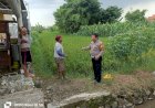 Polresta-Sidoarjo-|-Polsek-Sukodono-Pantau-Program-Ketahanan-Pangan-Desa-Jumputrejo