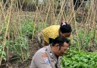 Bhabinkamtibmas-Desa-Tambak-Kalisogo-Cek-Tanaman-Sayur-Dukung-Ketahanan-Pangan