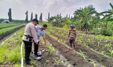 Bhabinkamtibmas-Desa-Gamping-Krian-Cek-l-Tanaman-Jagung-Tumbuh-Optimal