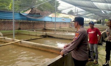 Kapolsek-Prambon-Bersama-Kades-Kedungkembar-Cek-Perkembangan-Budidaya-Lele