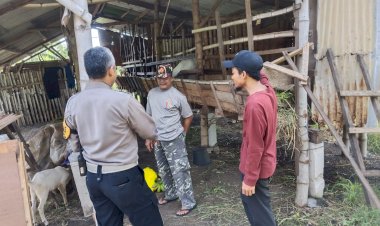 Upaya-Ketahanan-Pangan,-Bhabinkamtibmas-Sidokerto-Polsek-Buduran-Tinjau-Peternakan-Kambing