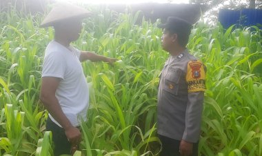 Polsek-Taman-Dukung-Ketahanan-Pangan-Warga-dengan-Green-House-Hortikultura