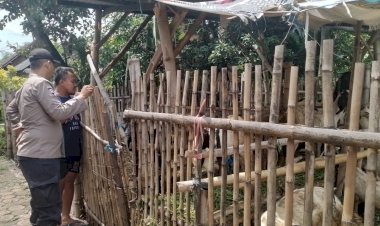Polresta-Sidoarjo-|-Tingkatkan-Kualitas-Hewan-Ternak,-Peran-Aktif-Bhabinkamtibmas-Dioptimalkan