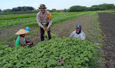 Bhabinkamtibmas-Kalidawir-Dorong-Swasembada-Pangan-Melalui-Program-Ketahanan-Pangan-Pekarangan-Bergizi