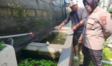 Budidaya-Lele-di-Desa-Ketajen-Jadi-Andalan-Polsek-Gedangan-dalam-Program-Ketahanan-Pangan