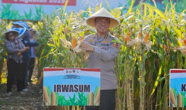 Panen-Raya-Jagung-di-Malang,-Wujud-Nyata-Komitmen-Polri-dalam-Ketahanan-Pangan-Nasional