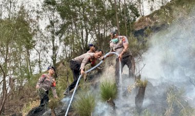 Personel-BKO-Polda-Jatim-Gerak-Cepat-Padamkan-Titik-Api,-Cegah-Karhutla-TNBTS-Meluas