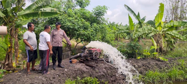 Kapolsek Sedati Dukung Swasembada Pangan, Warga Semampir Olah Lahan Tambak untuk Ketahanan Pangan