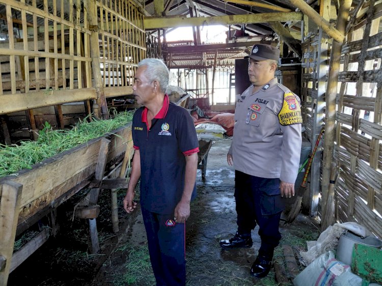 Bhabinkamtibmas Polsek Tulangan, Motivasi Peternak Kambing Tingkatkan Produksi Ketahanan Pangan