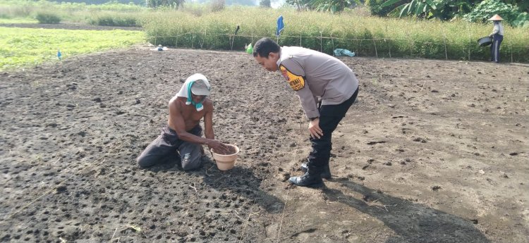 Polsek Sidoarjo Kota Cek Lahan Ketahanan Pangan di Sidokumpul