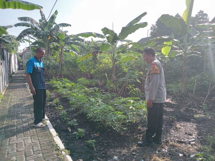Bhabinkamtibmas Polsek Tulangan Dukung Swasembada Pangan Mandiri Lewat Program Pekarangan Bergizi
